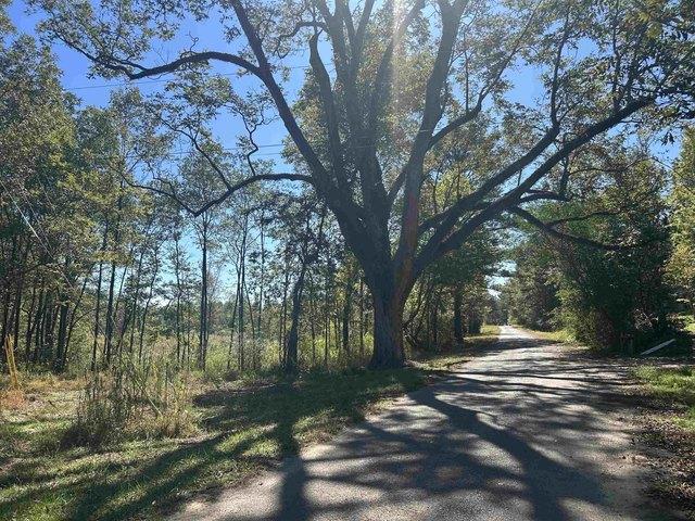 Land for sale in Double Springs, Alabama