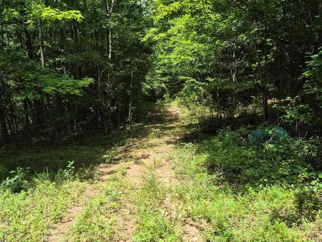 Land for sale in Alabama