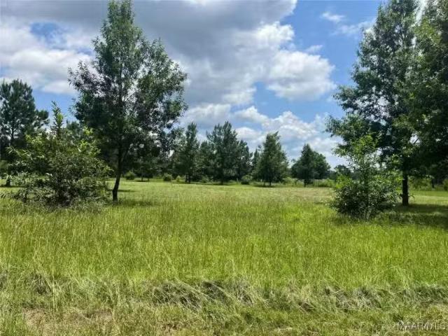House for rent in Selma