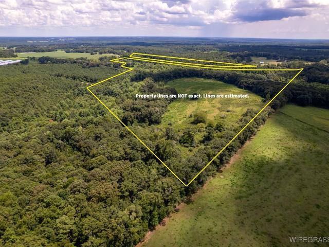 Land for sale in Geneva, Alabama