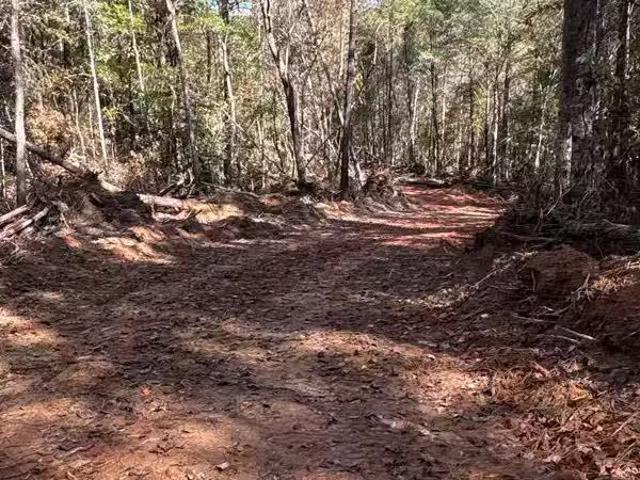 House for rent in Alabaster, Alabama
