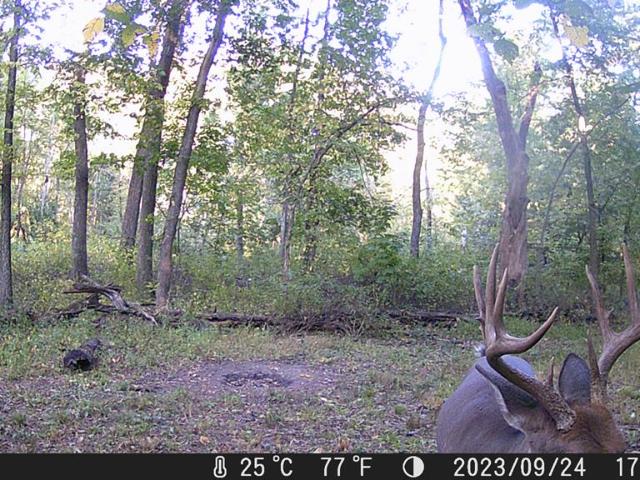 Land for sale in Missouri