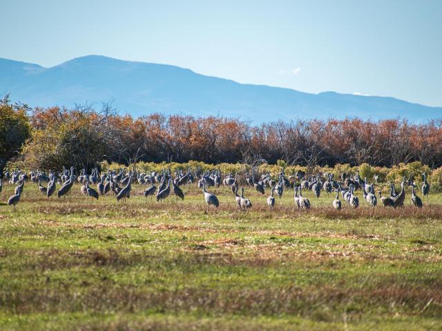 Land for sale in Blanca, Colorado