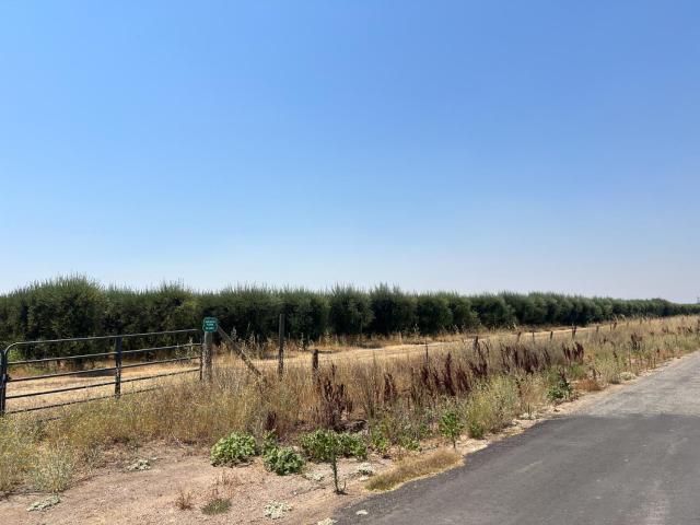 Land for sale in Glenn, California