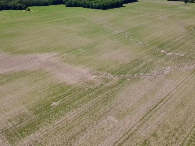 Land for sale in North Salem, Indiana