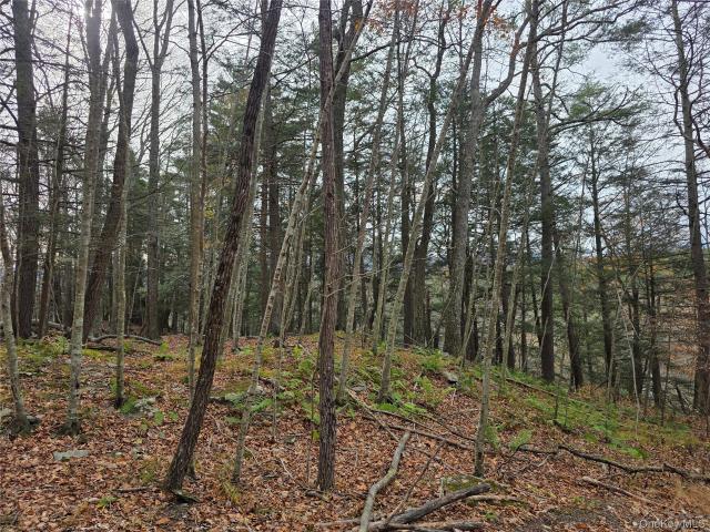 Land for sale in Acra, New York