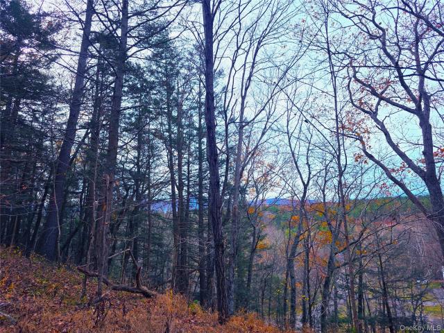 Land for sale in Acra, New York