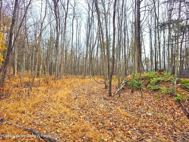 Land for sale in Acra, New York