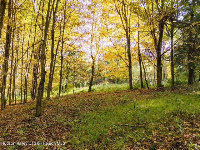 Land for sale in West Copake, Town of Copake