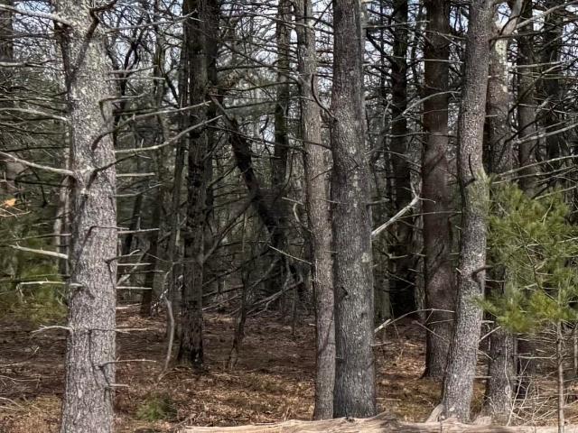Land for sale in Alcove, New York