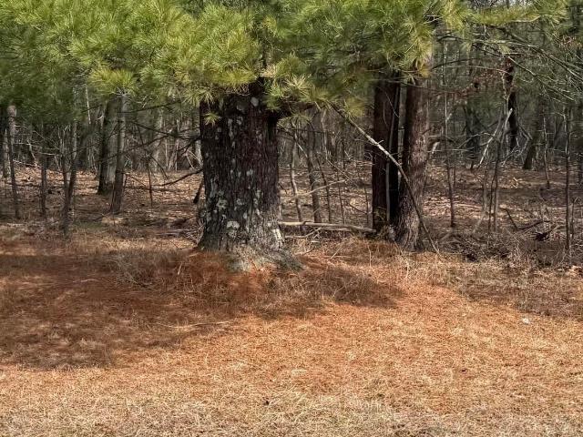 Land for sale in Alcove, New York