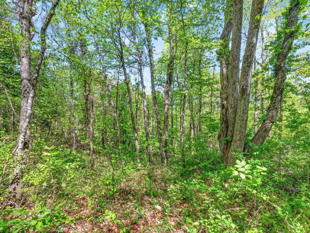 Land for sale in Virginia