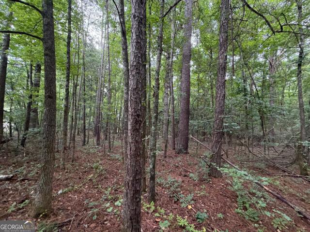 Land for sale in Greenville, Georgia