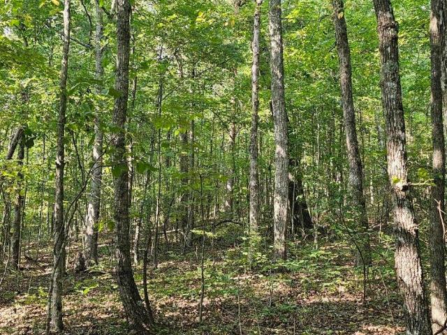 Land for sale in Tennessee