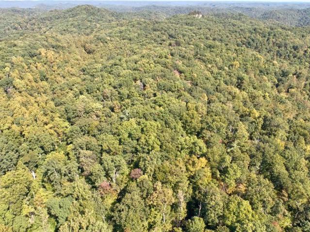 Land for sale in Stanton, Powell County