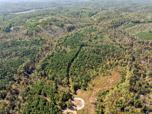 Land for sale in Tennessee