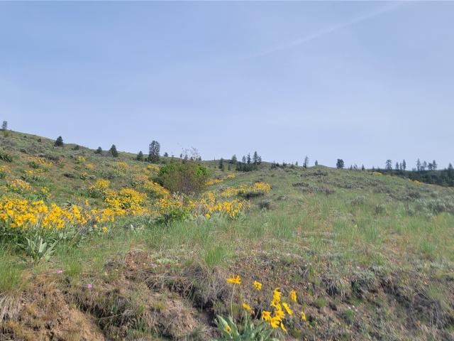 Land for sale in Orondo, Washington