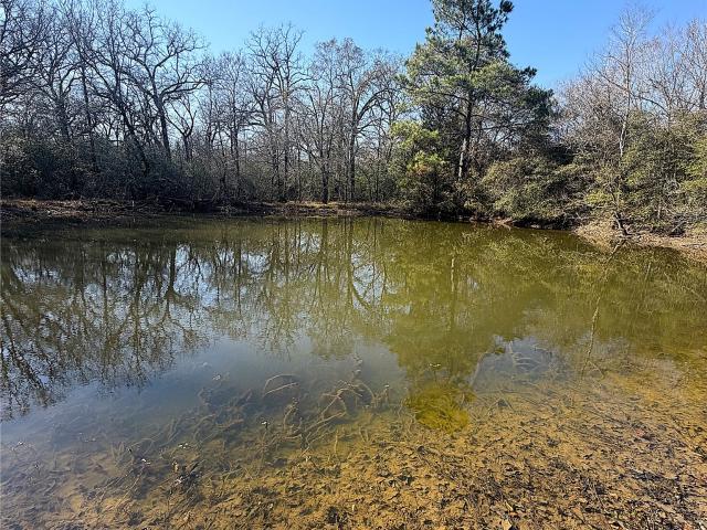 Land for sale in Leon, Texas