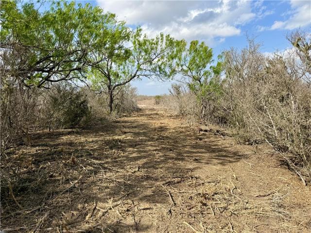 Land for sale in San Diego, Duval County