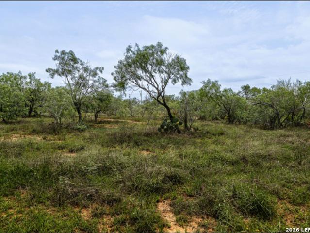 Land for sale in Wilson, Texas