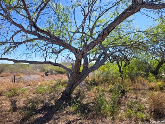 Land for sale in Bee, Texas