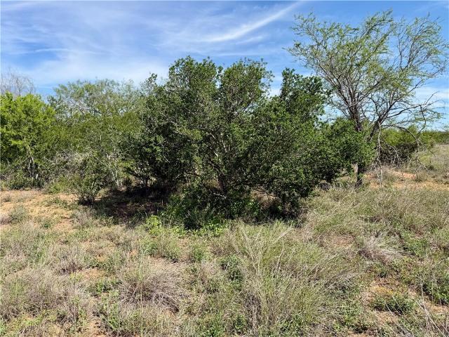 Land for sale in George West, Texas