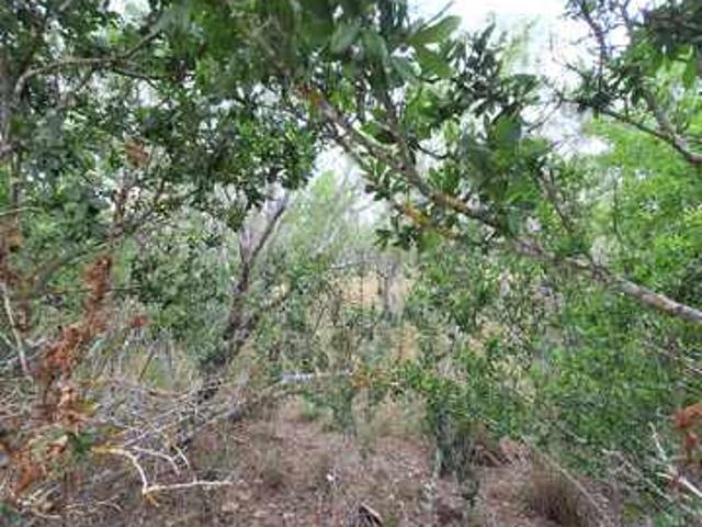 Farm for sale in Kenedy, Texas
