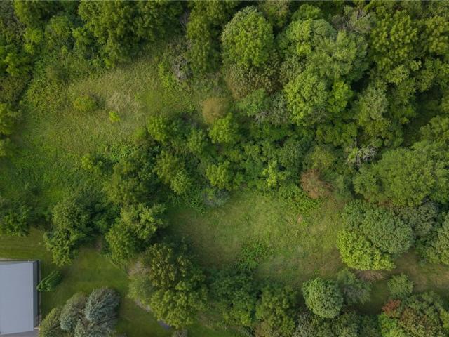 Land for sale in Bloomfield, New York