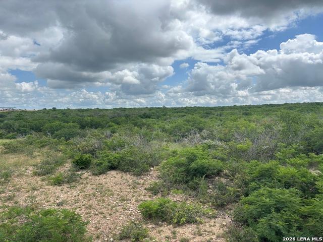 Land for sale in Moore, Texas