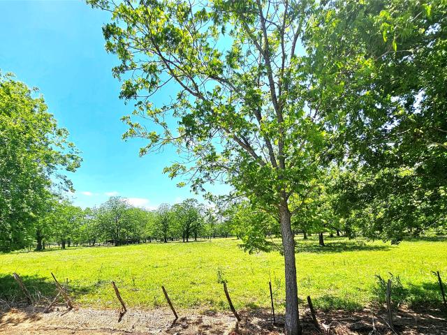 Land for sale in Wharton, Texas