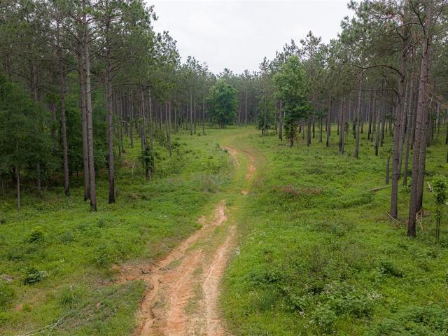 Land for sale in Panola, Texas
