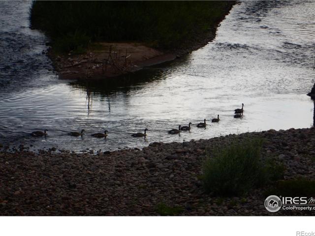Land for sale in Gerrard, South Fork