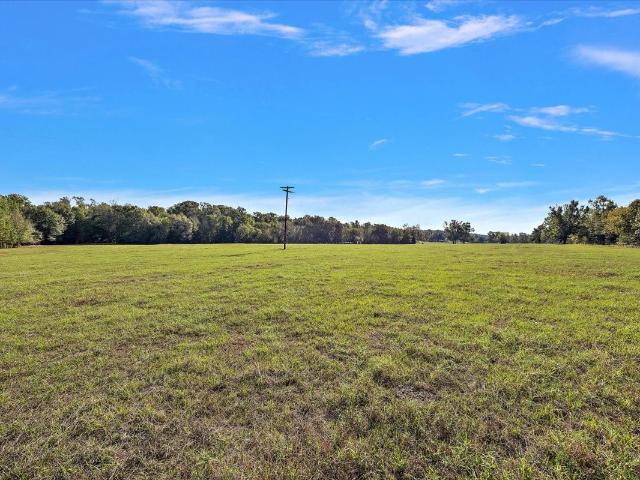 Land for sale in Avinger, Cass County