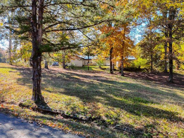 Land for sale in Iuka, Mississippi