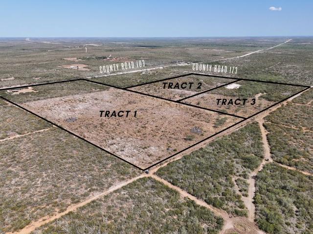 Land for sale in San Diego, Texas