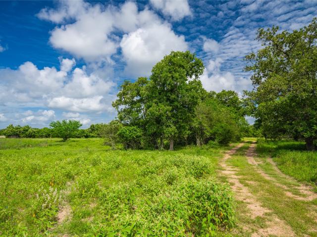 Land for sale in Edna, Texas