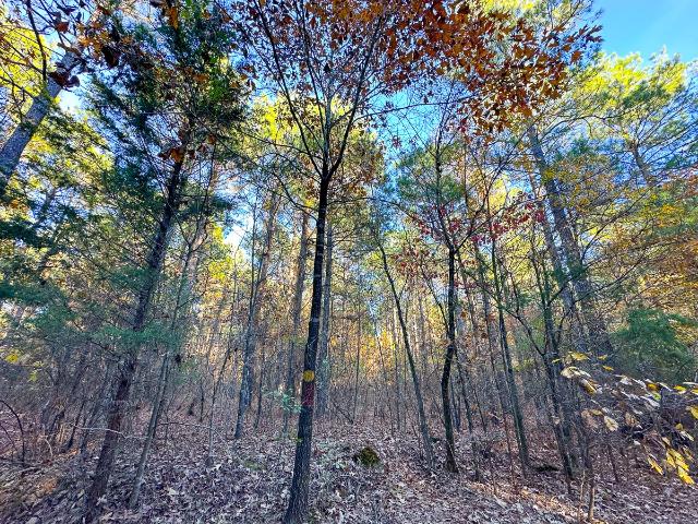 Land for sale in Bagwell, Texas