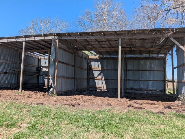 Land for sale in Louise, Texas