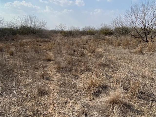 Land for sale in Brooks, Texas