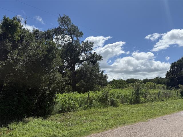 Land for sale in Wharton, Texas