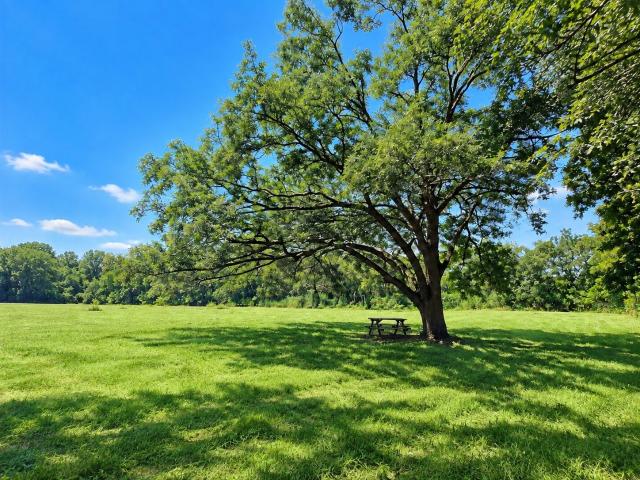 Land for sale in Wharton, Wharton County