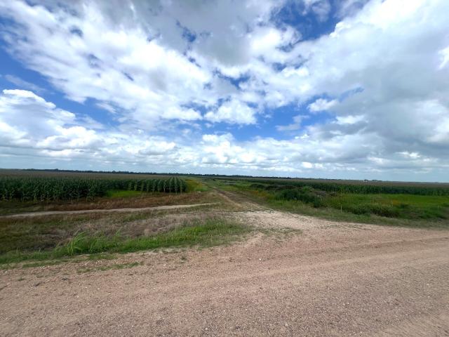 Land for sale in Wharton, Texas