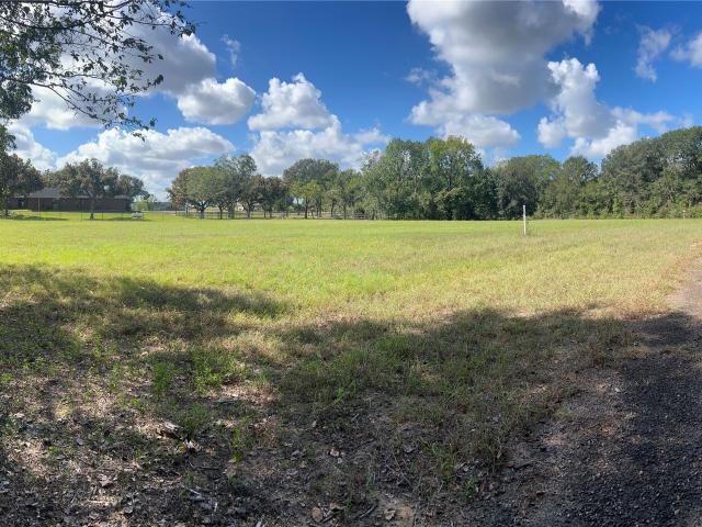 Land for sale in East Bernard, Wharton County