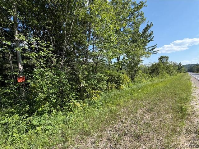 Land for sale in Fine, New York