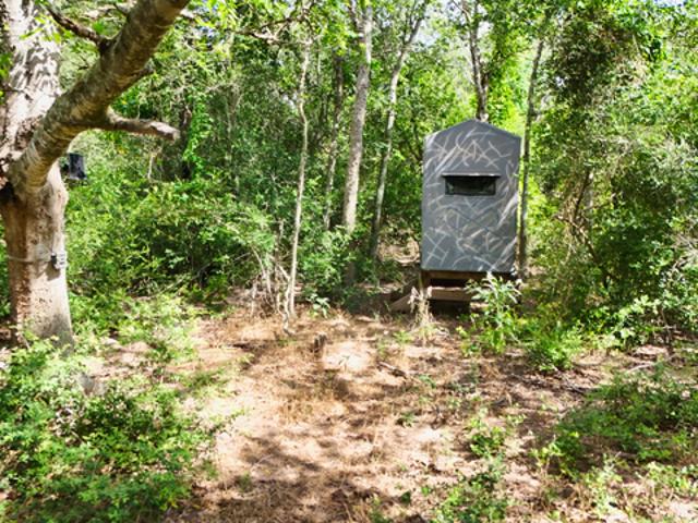 Land for sale in Cost, Texas