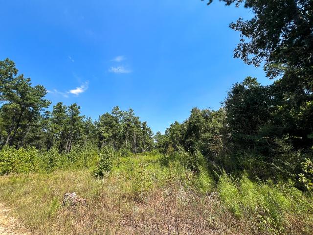 Land for sale in Jasper, Texas