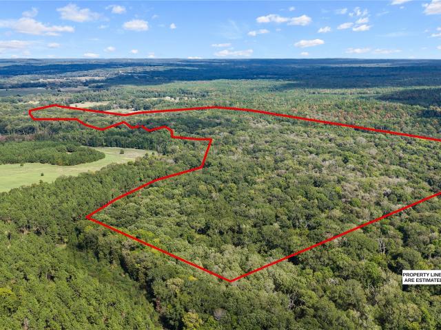 Land for sale in Mount Enterprise, Rusk County