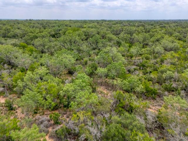 Land for sale in Jourdanton, Texas