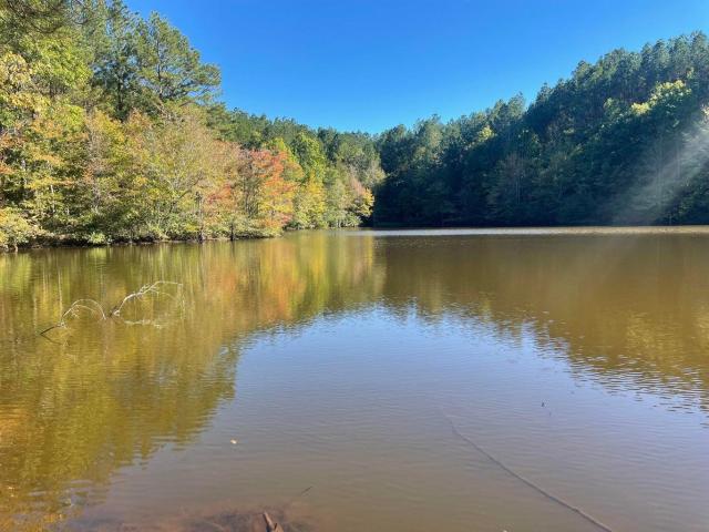 Land for sale in Rienzi, Mississippi
