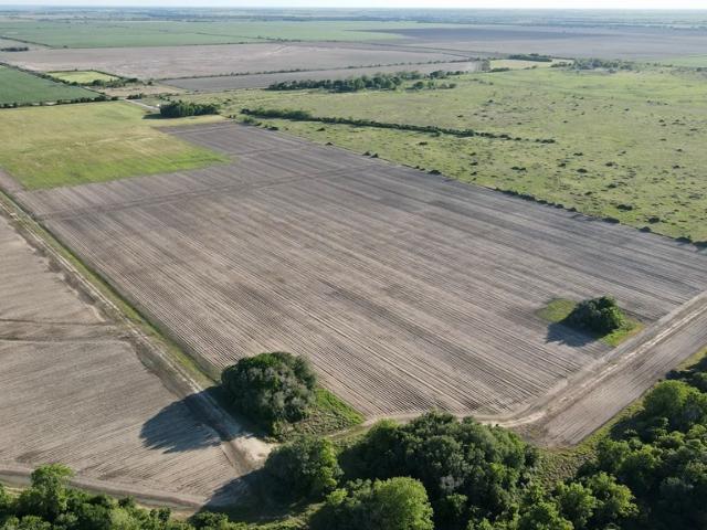 Land for sale in Blessing, Texas